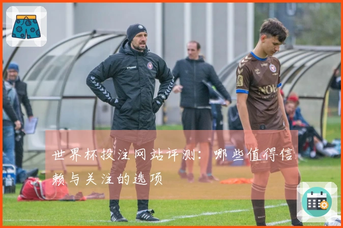 世界杯投注网站评测：哪些值得信赖与关注的选项