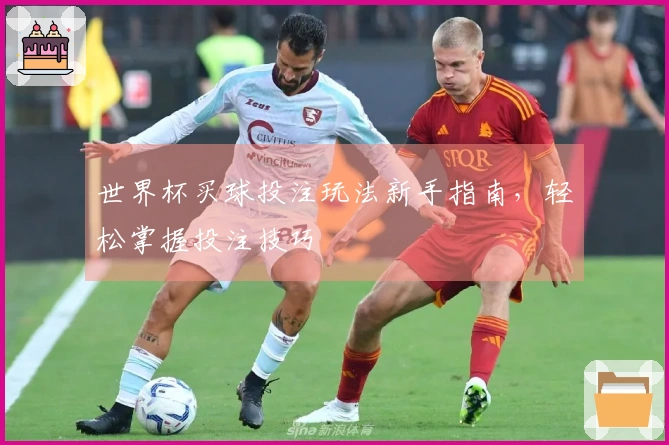 世界杯买球投注玩法新手指南，轻松掌握投注技巧
