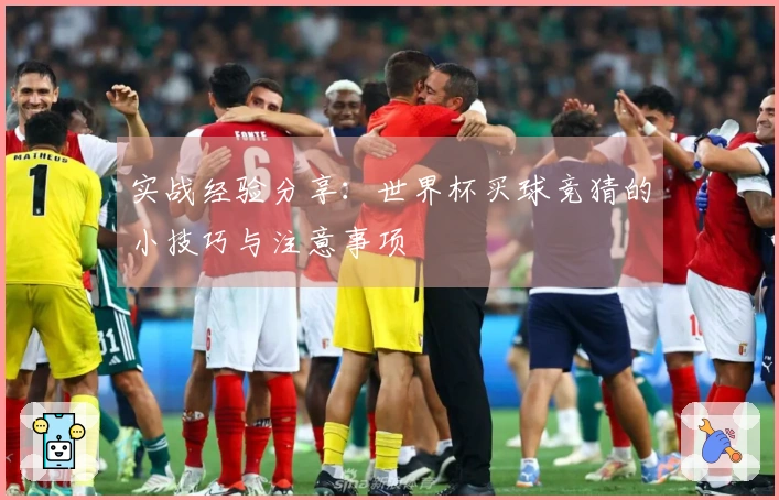 实战经验分享：世界杯买球竞猜的小技巧与注意事项