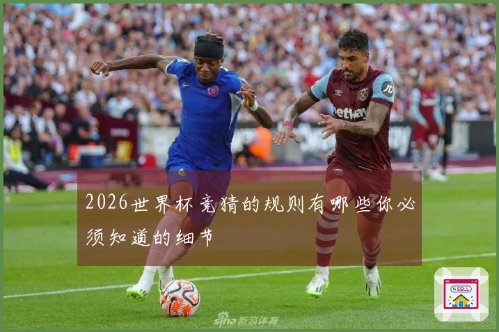 2026世界杯竞猜的规则有哪些你必须知道的细节