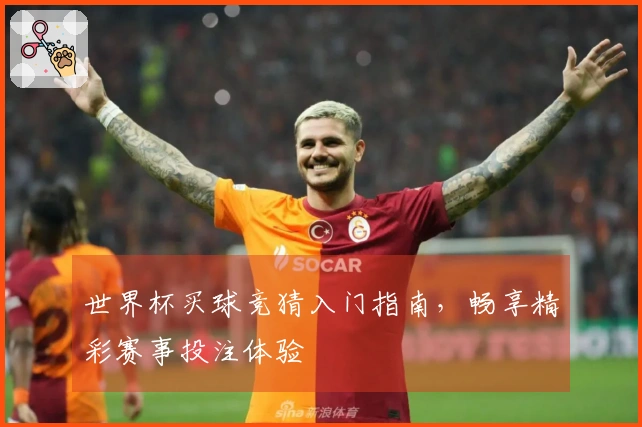 世界杯买球竞猜入门指南，畅享精彩赛事投注体验