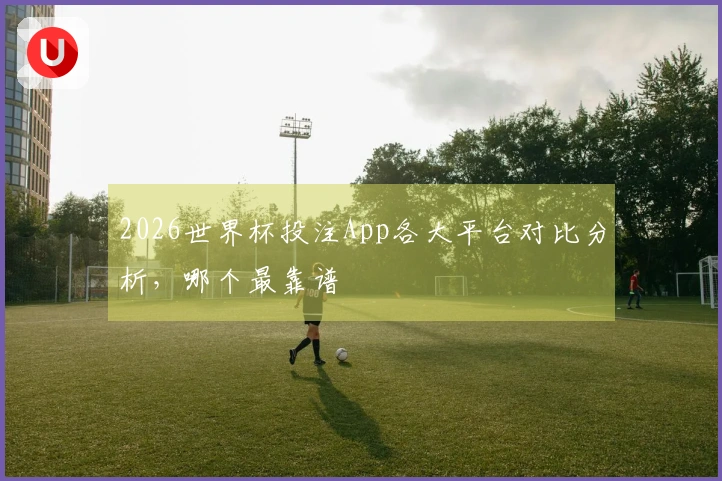 2026世界杯投注App各大平台对比分析，哪个最靠谱