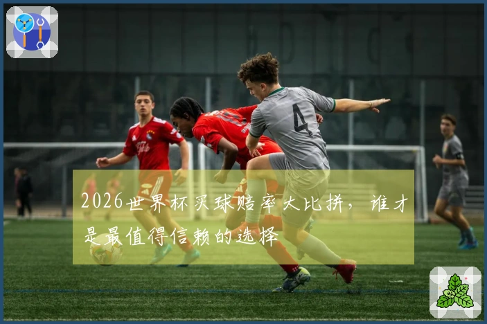 2026世界杯买球赔率大比拼，谁才是最值得信赖的选择