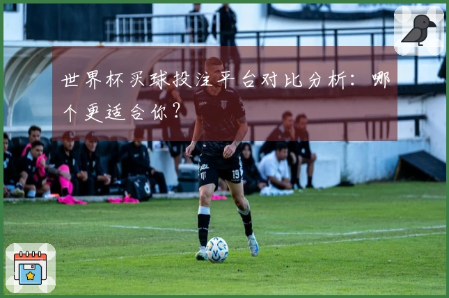 世界杯买球投注平台对比分析：哪个更适合你？