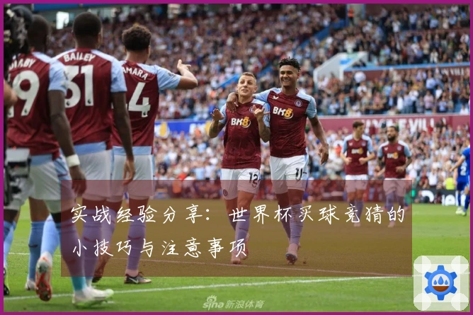 实战经验分享：世界杯买球竞猜的小技巧与注意事项