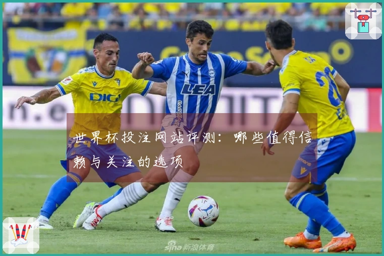 世界杯投注网站评测：哪些值得信赖与关注的选项