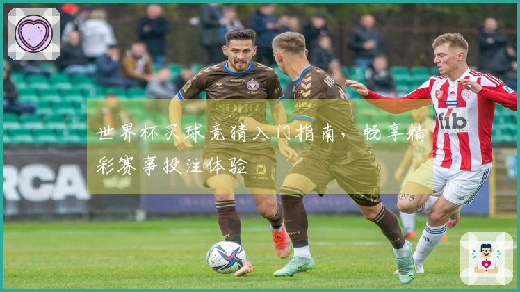 世界杯买球竞猜入门指南，畅享精彩赛事投注体验