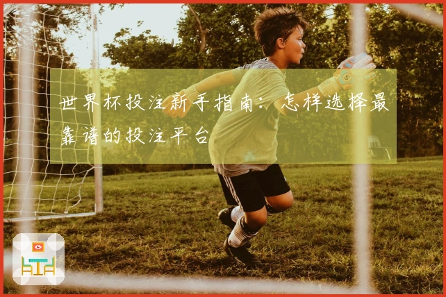 世界杯投注新手指南：怎样选择最靠谱的投注平台