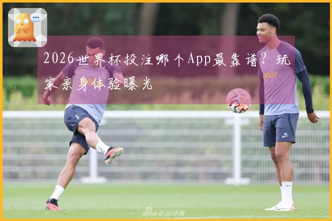 2026世界杯投注哪个App最靠谱？玩家亲身体验曝光