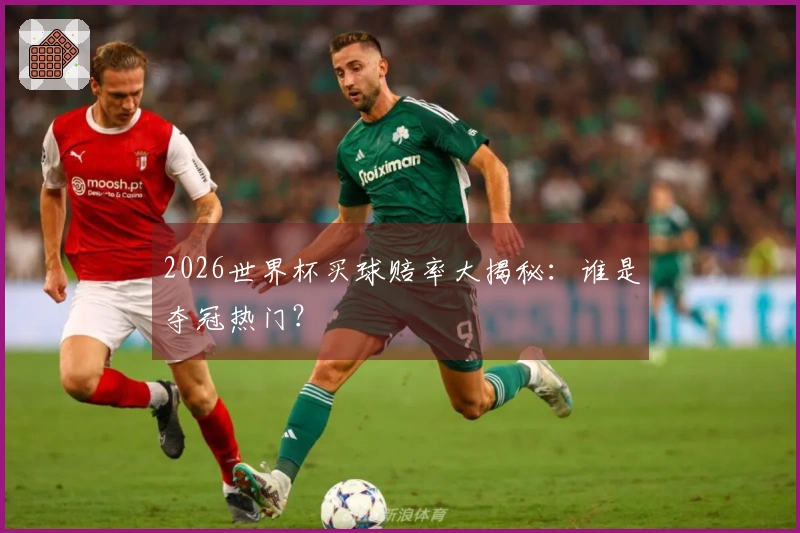 2026世界杯买球赔率大揭秘：谁是夺冠热门？