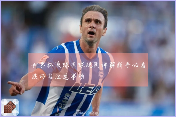 世界杯滚球买球规则详解新手必看技巧与注意事项